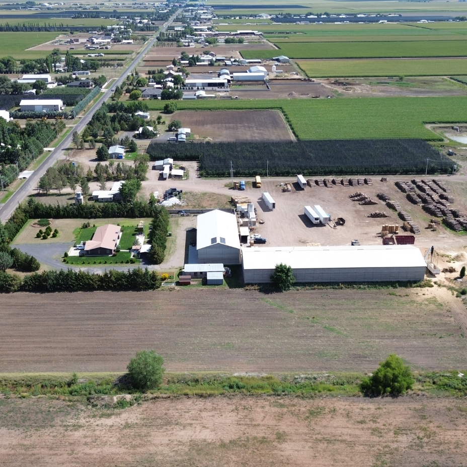 Lote Comercial, Campo 107