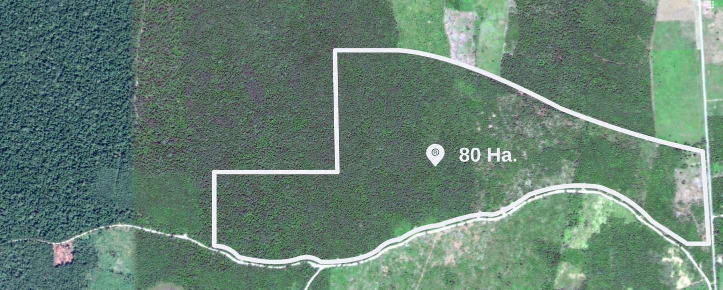 Lote Agrícola, Noh-Bec, Quintana Roo