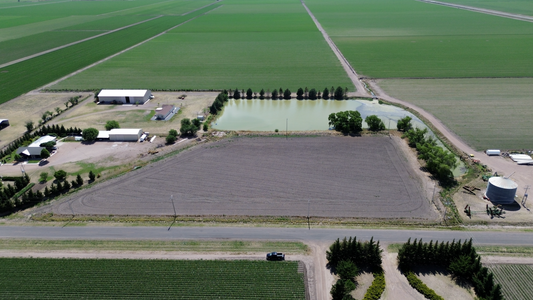 Lote Agrícola, Campo 110