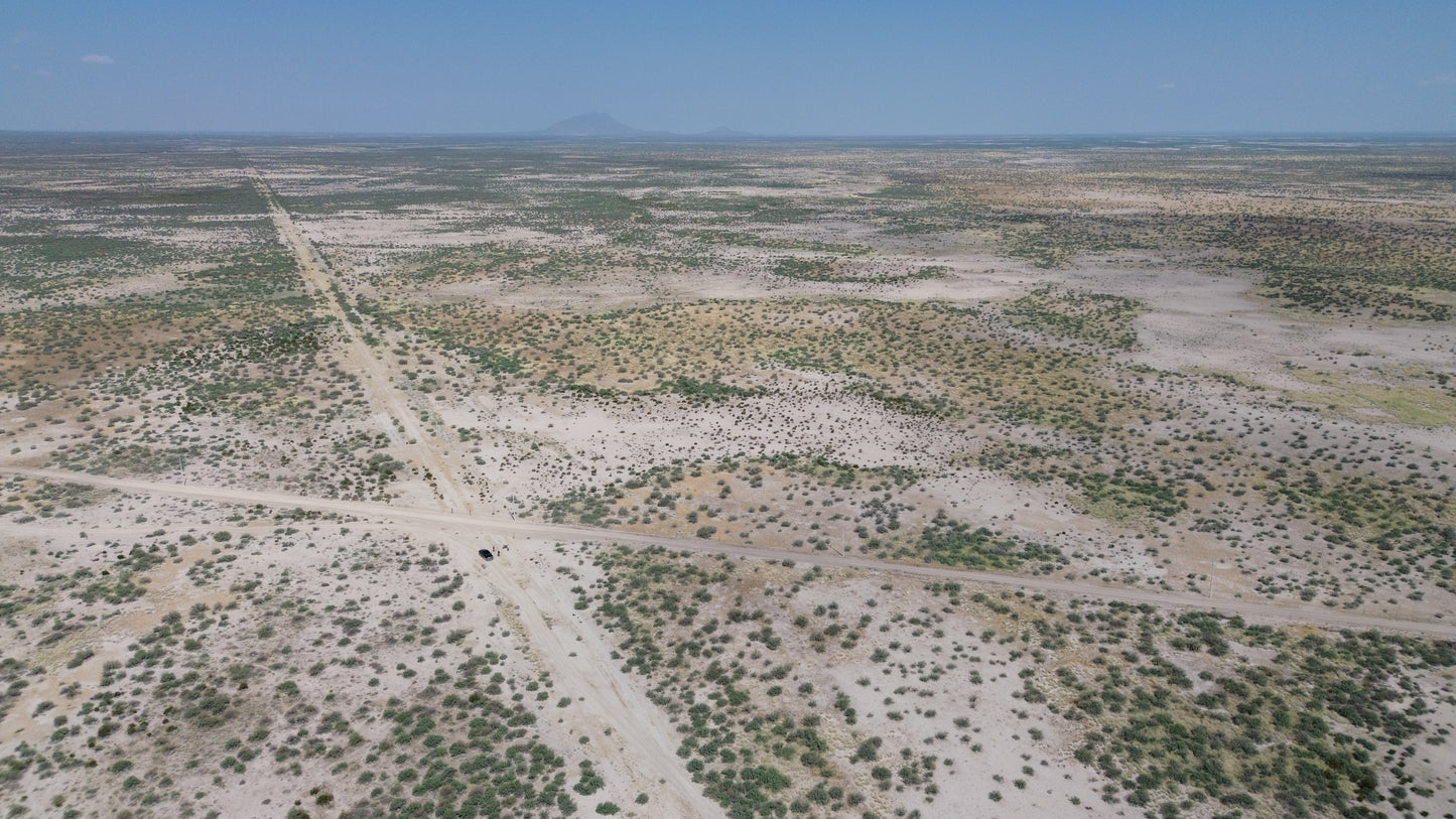 Lote Agrícola, Bermejillo
