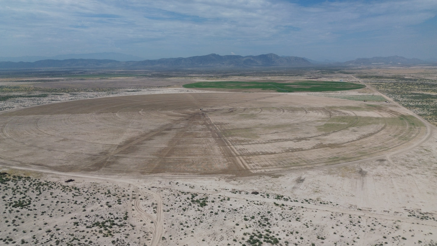 Lote Agrícola, Bermejillo