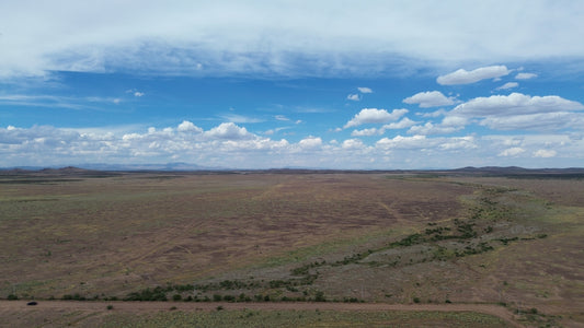 Lote Agrícola, Colonia El Llano