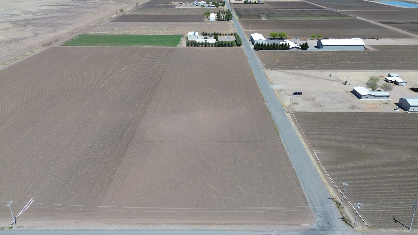 Lote Comercial Nr. 5, Campo 116.5