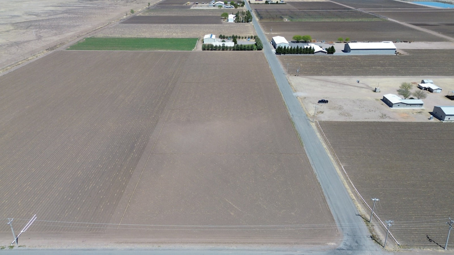 Lote Comercial Nr. 3, Campo 116.5